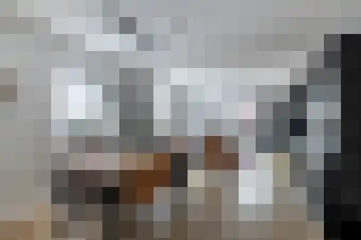 Vixseboxsestraat 49 Almelo thumbnail 4