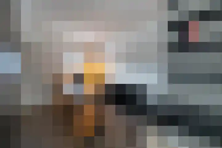 Vixseboxsestraat 87 Almelo thumbnail 14