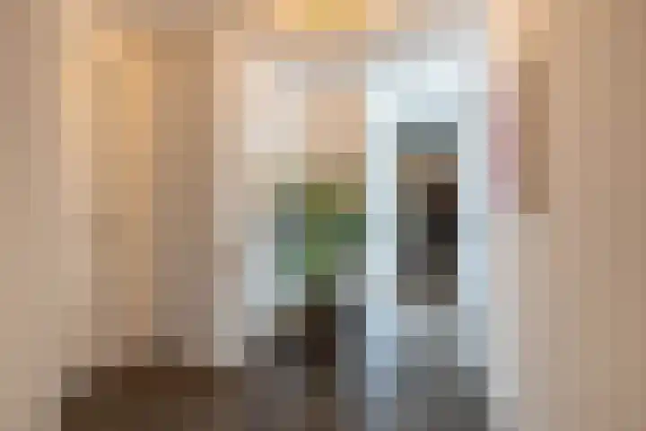 Vixseboxsestraat 87 Almelo thumbnail 15