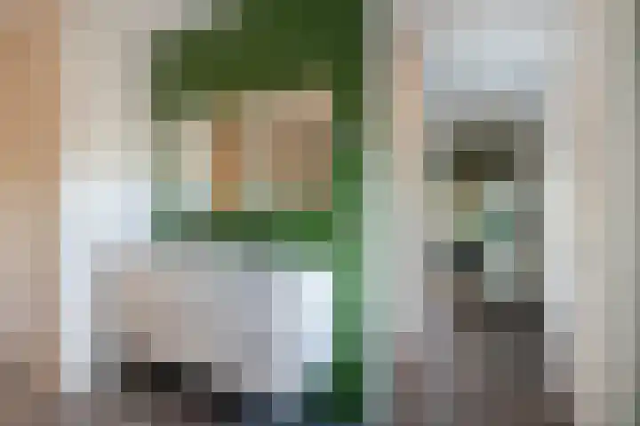 Vixseboxsestraat 87 Almelo thumbnail 19