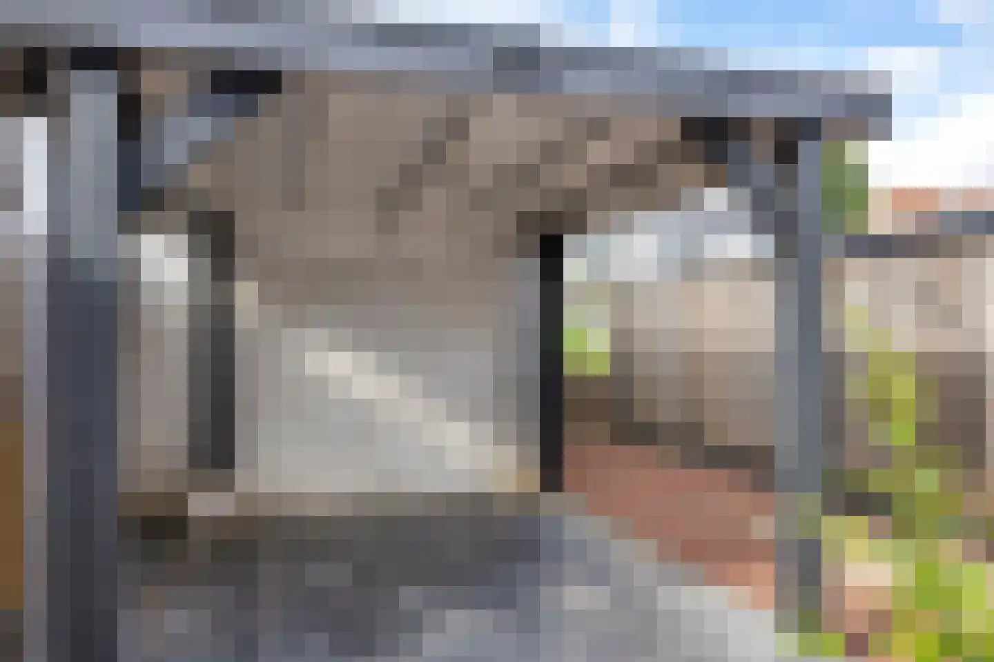 Vizier 3 Beuningen Gld thumbnail 10