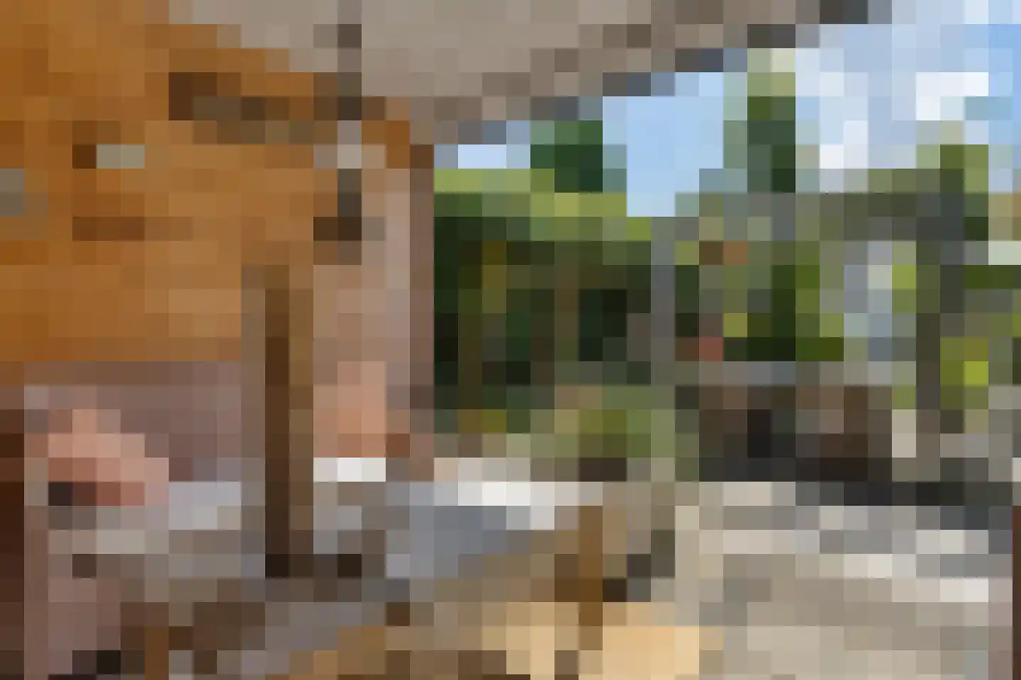 Vlaak 11 Lemmer thumbnail 37