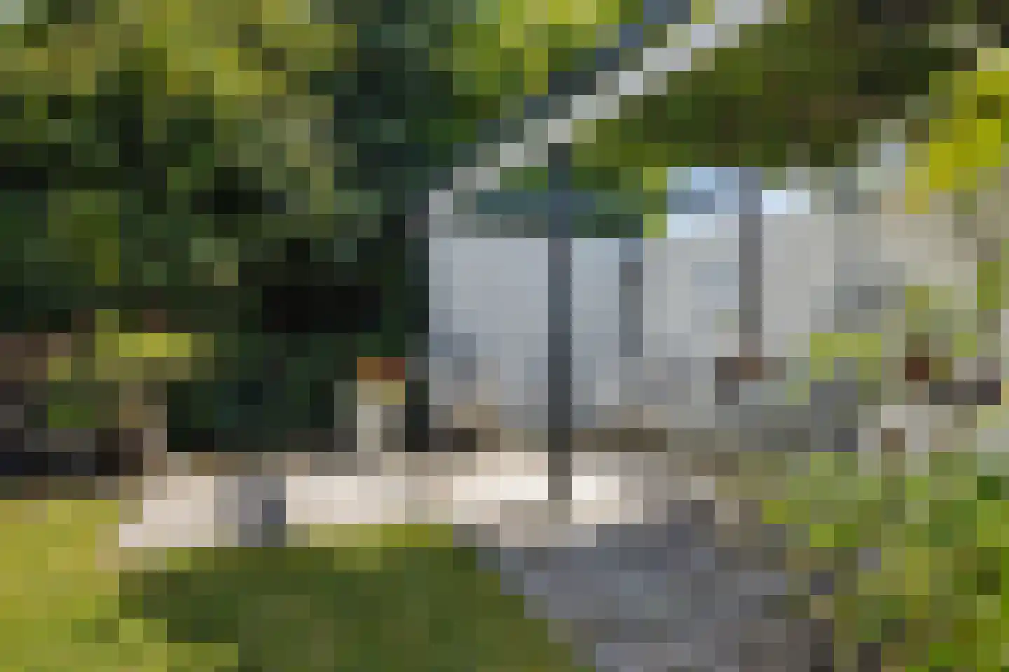 Vlaak 11 Lemmer thumbnail 38