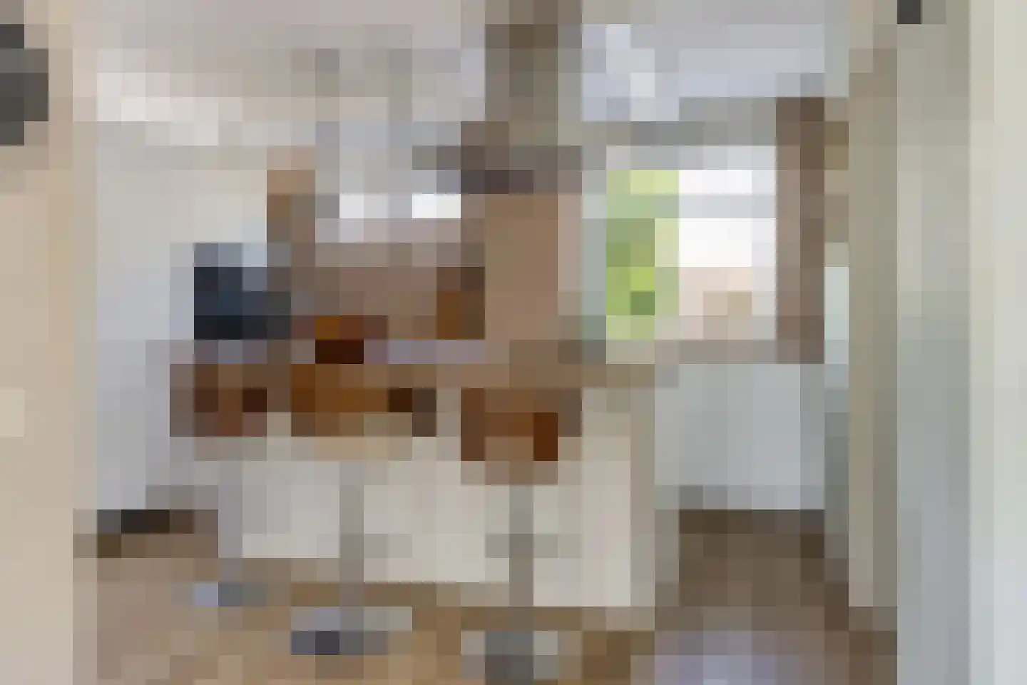Vlaak 11 Lemmer thumbnail 9