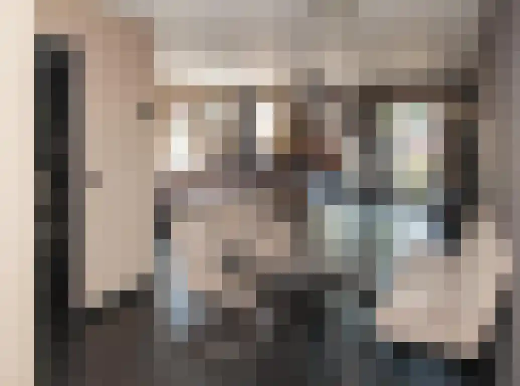 Vlaamse Gaai 1 Etten-Leur thumbnail 11