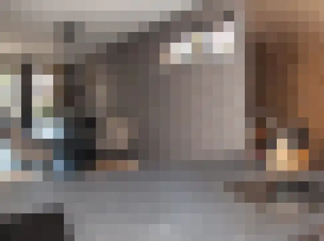 Vlaamse Gaai 1 Etten-Leur thumbnail 15