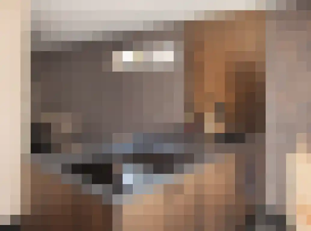 Vlaamse Gaai 1 Etten-Leur thumbnail 18