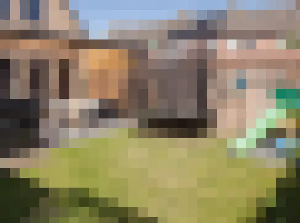 Vlaamse Gaai 1 Etten-Leur foto 2