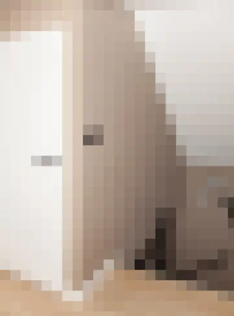 Vlaamse Gaai 1 Etten-Leur thumbnail 26