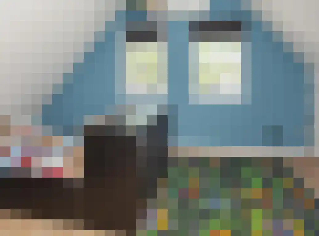 Vlaamse Gaai 1 Etten-Leur thumbnail 31