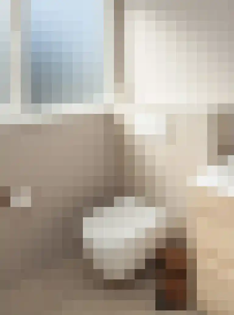 Vlaamse Gaai 1 Etten-Leur thumbnail 35