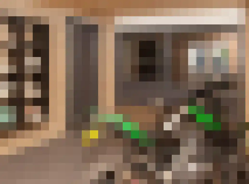 Vlaamse Gaai 1 Etten-Leur thumbnail 4