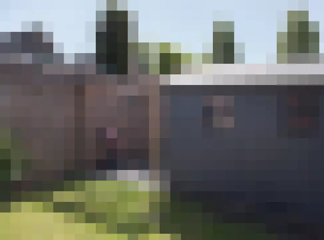 Vlaamse Gaai 1 Etten-Leur thumbnail 42
