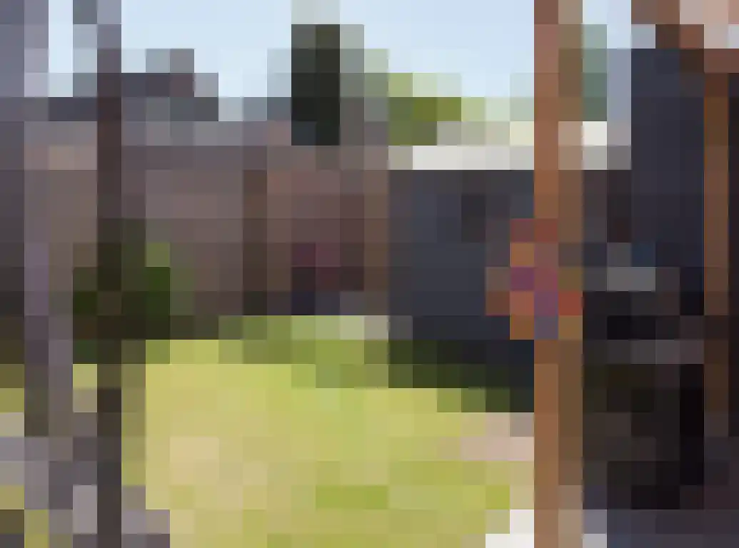Vlaamse Gaai 1 Etten-Leur thumbnail 44