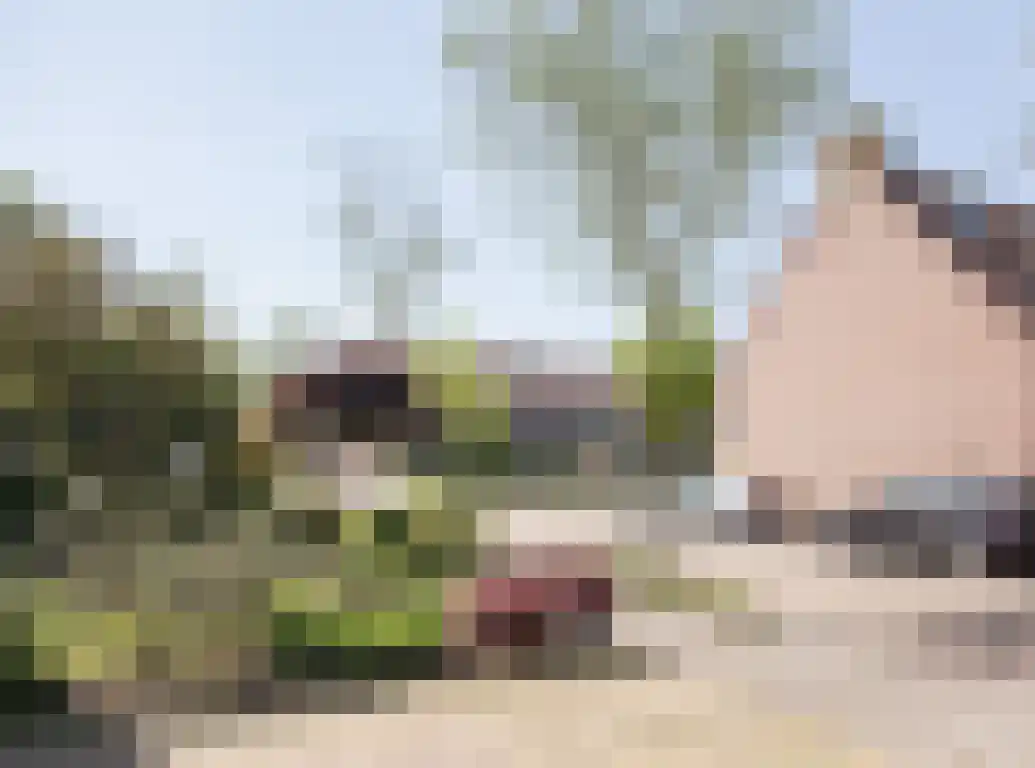 Vlaamse Gaai 1 Etten-Leur thumbnail 47