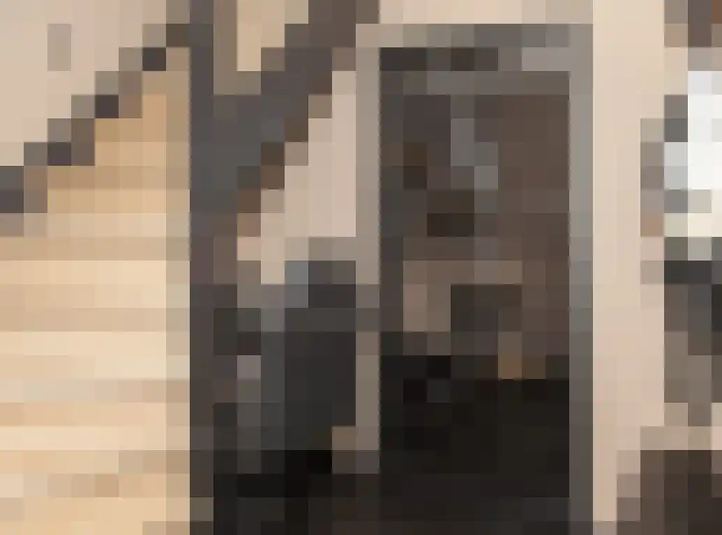 Vlaamse Gaai 1 Etten-Leur thumbnail 5