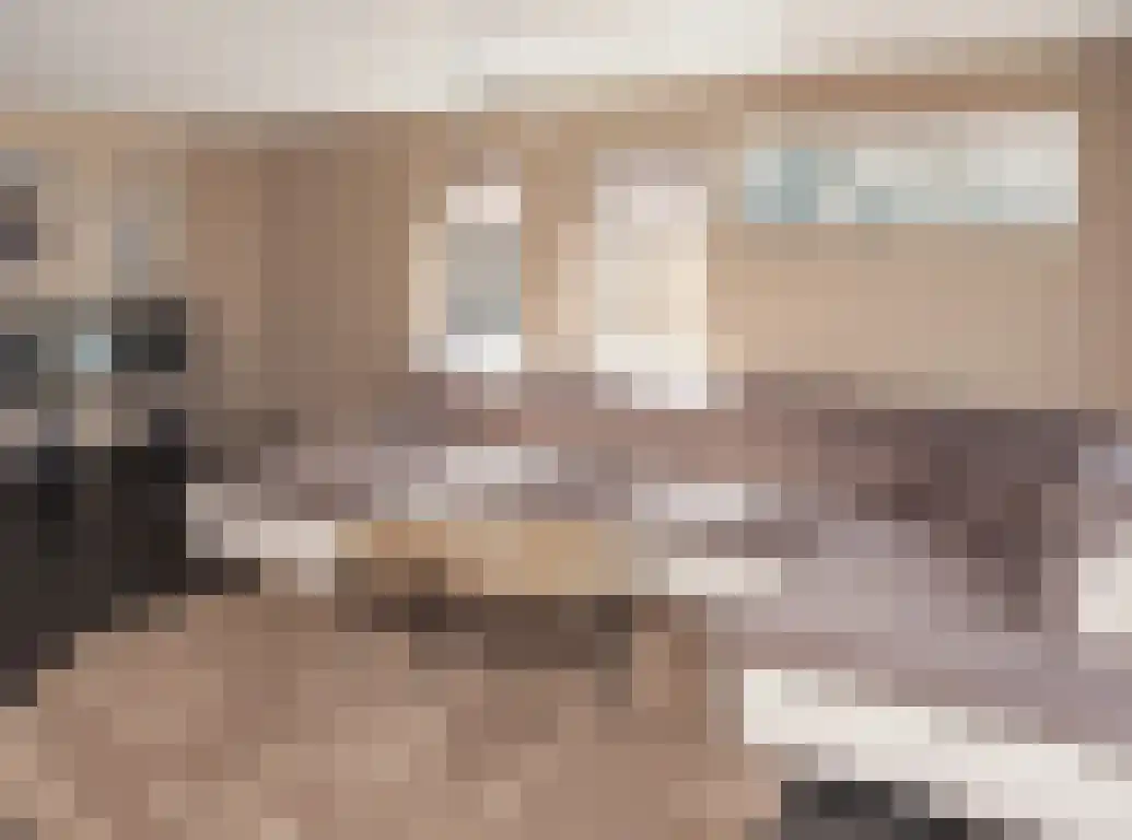 Vlaamse Gaai 1 Etten-Leur thumbnail 7