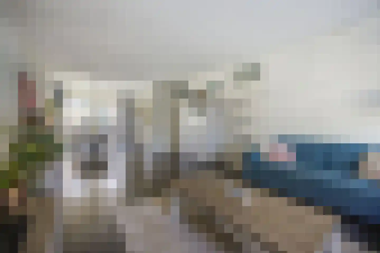 Vlaamse Gaai 11 Etten-Leur thumbnail 12