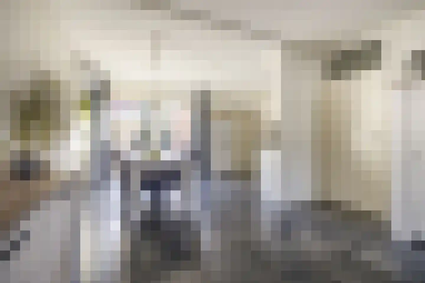 Vlaamse Gaai 11 Etten-Leur thumbnail 13