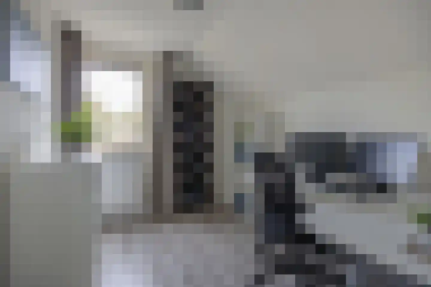 Vlaamse Gaai 11 Etten-Leur thumbnail 26