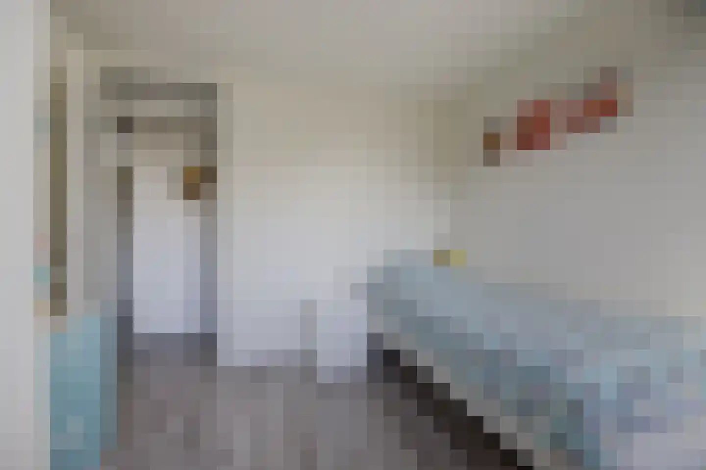 Vlaamse Gaai 11 Etten-Leur thumbnail 29
