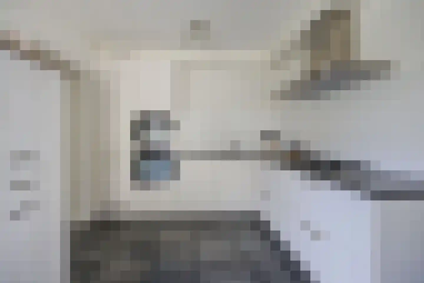 Vlaamse Gaai 11 Etten-Leur foto 3