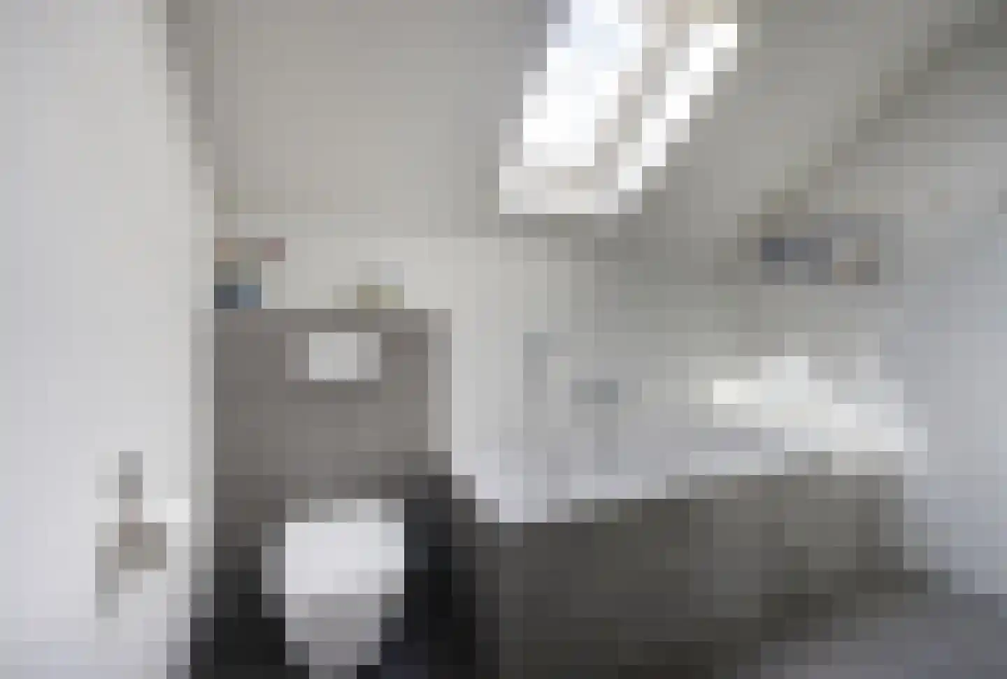 Vlaamse Gaai 11 Etten-Leur thumbnail 32