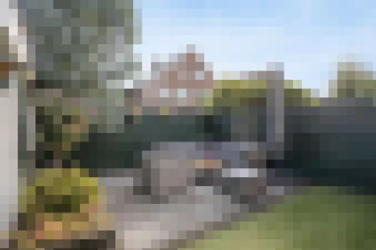 Vlaamse Gaai 11 Etten-Leur thumbnail 41