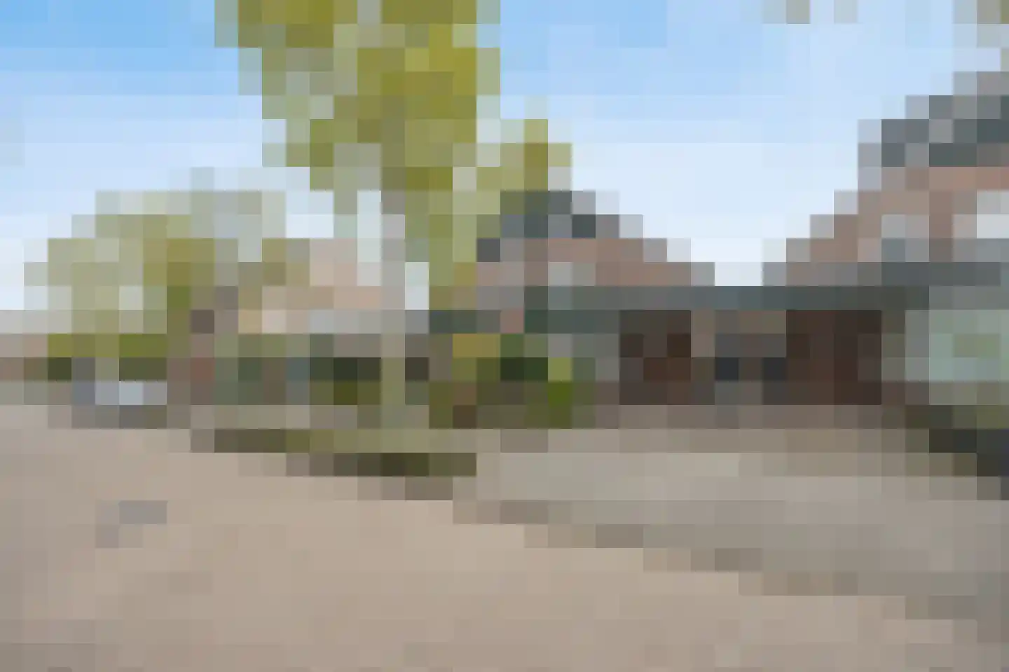 Vlaamse Gaai 11 Etten-Leur thumbnail 45