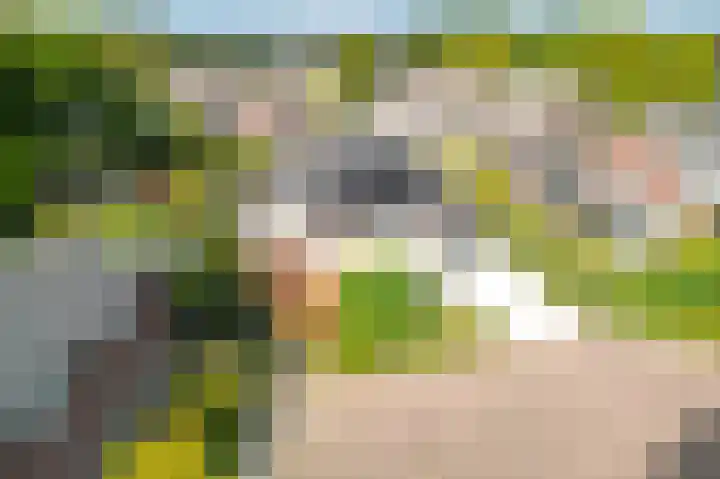 Vlaamse Gaai 2 Mierlo thumbnail 11