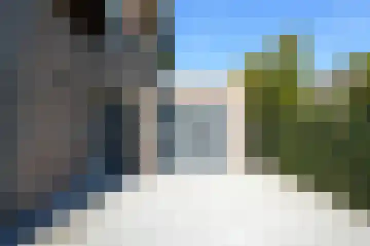 Vlaamse Gaai 2 Mierlo thumbnail 12