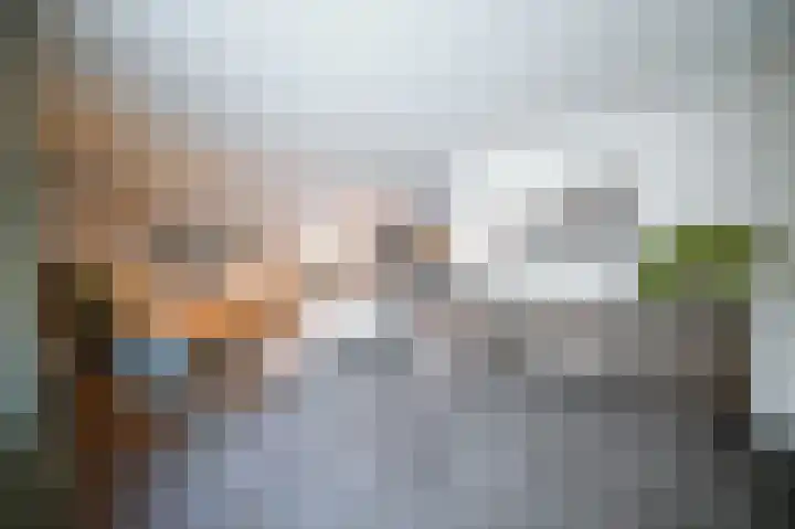 Vlaamse Gaai 2 Mierlo thumbnail 14