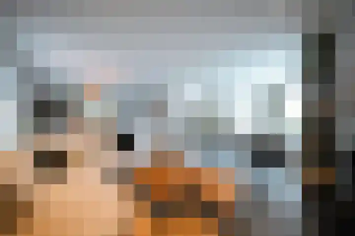 Vlaamse Gaai 2 Mierlo thumbnail 15