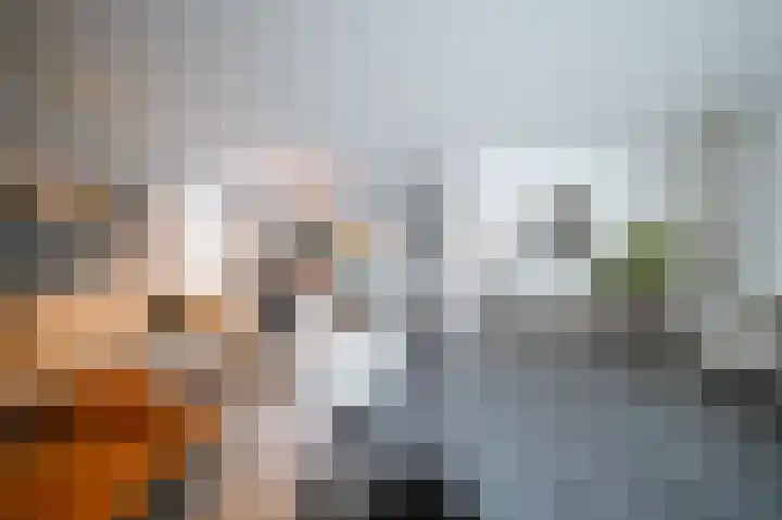 Vlaamse Gaai 2 Mierlo thumbnail 16