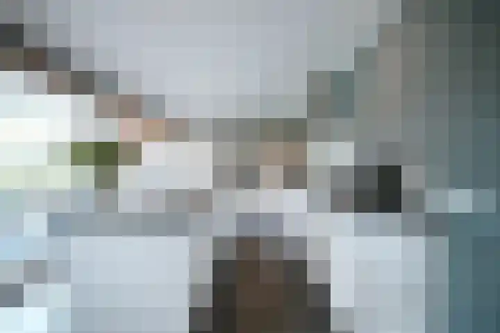 Vlaamse Gaai 2 Mierlo thumbnail 20