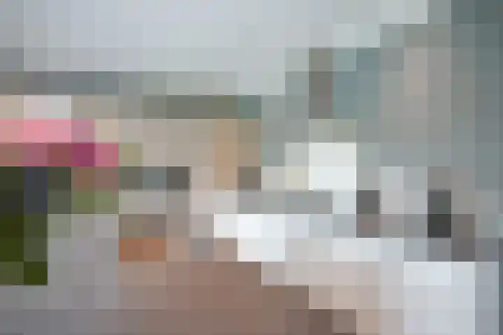 Vlaamse Gaai 2 Mierlo thumbnail 22