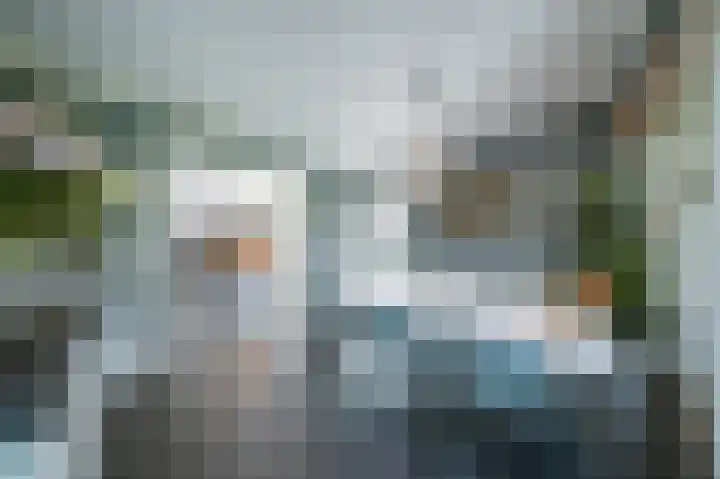 Vlaamse Gaai 2 Mierlo thumbnail 23