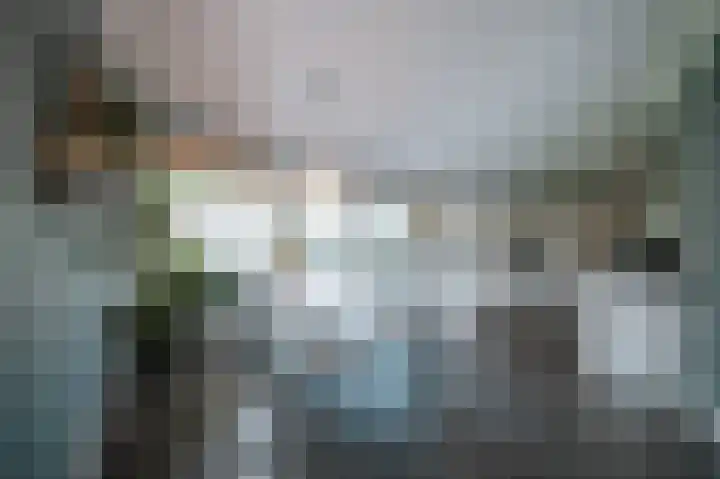 Vlaamse Gaai 2 Mierlo thumbnail 25