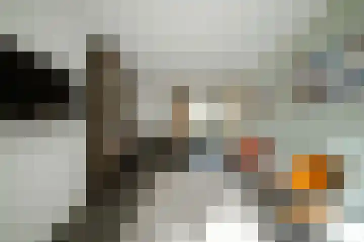 Vlaamse Gaai 2 Mierlo thumbnail 26