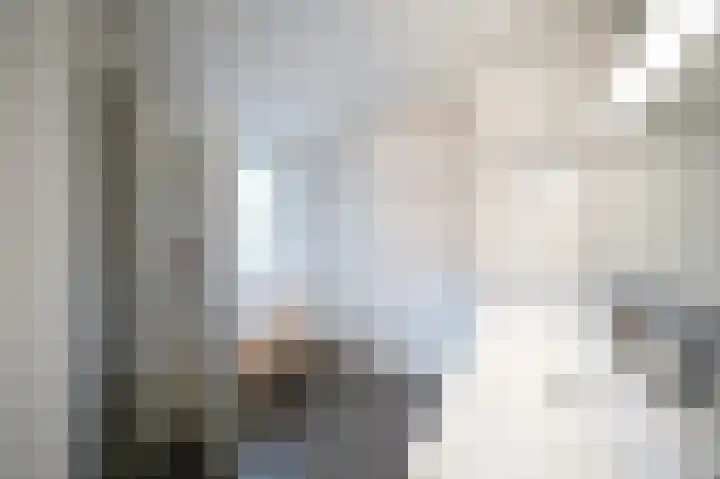 Vlaamse Gaai 2 Mierlo thumbnail 33