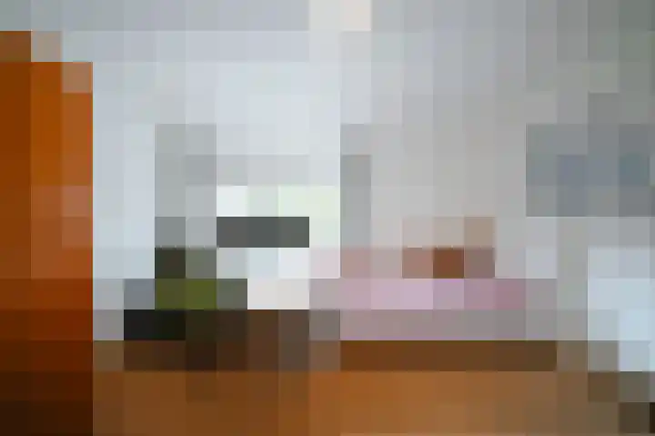 Vlaamse Gaai 2 Mierlo thumbnail 34