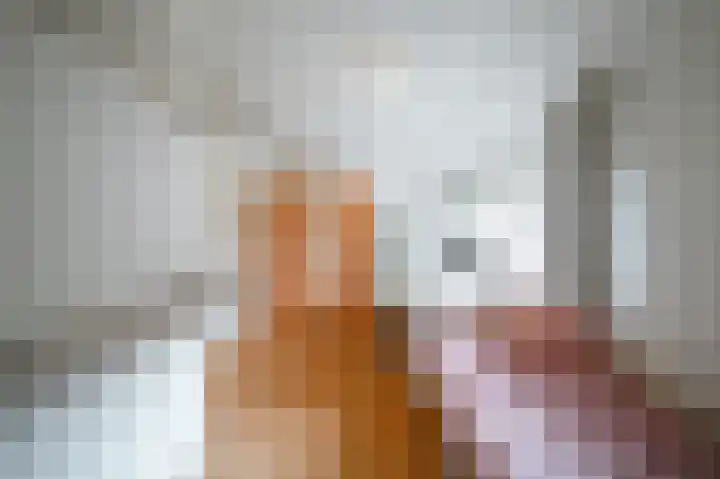 Vlaamse Gaai 2 Mierlo thumbnail 35