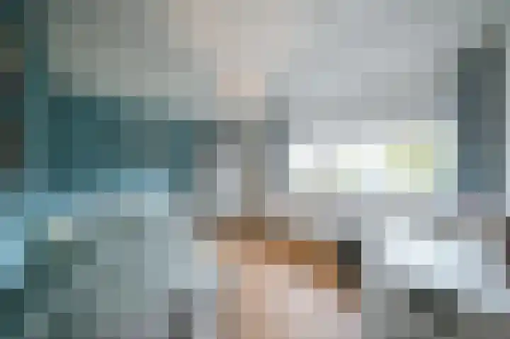 Vlaamse Gaai 2 Mierlo thumbnail 37