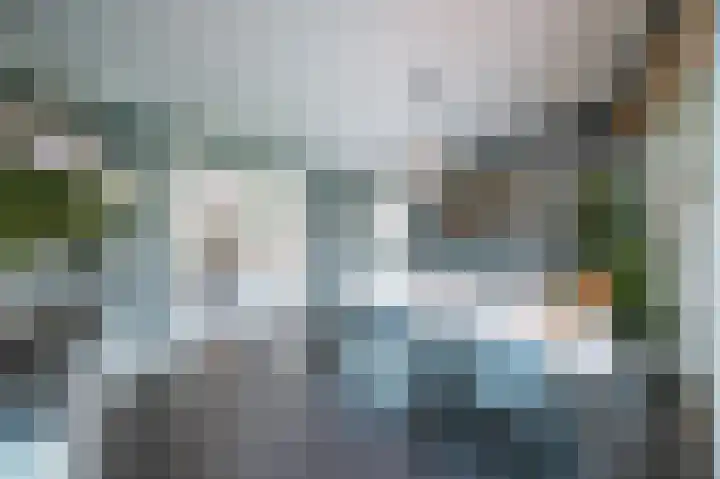 Vlaamse Gaai 2 Mierlo thumbnail 4