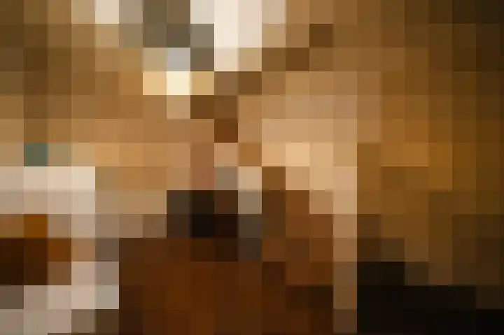 Vlaamse Gaai 2 Mierlo thumbnail 42