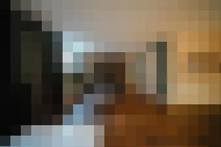 Vlaamse Gaai 2 Mierlo thumbnail 43
