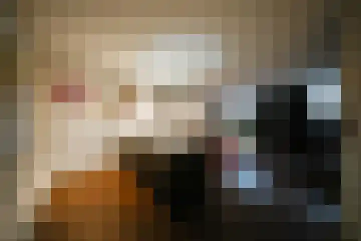 Vlaamse Gaai 2 Mierlo thumbnail 44