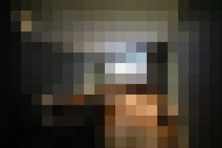 Vlaamse Gaai 2 Mierlo thumbnail 45