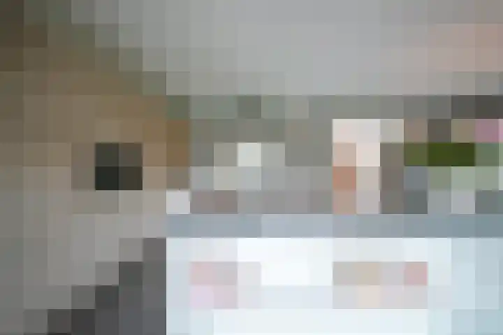 Vlaamse Gaai 2 Mierlo thumbnail 5