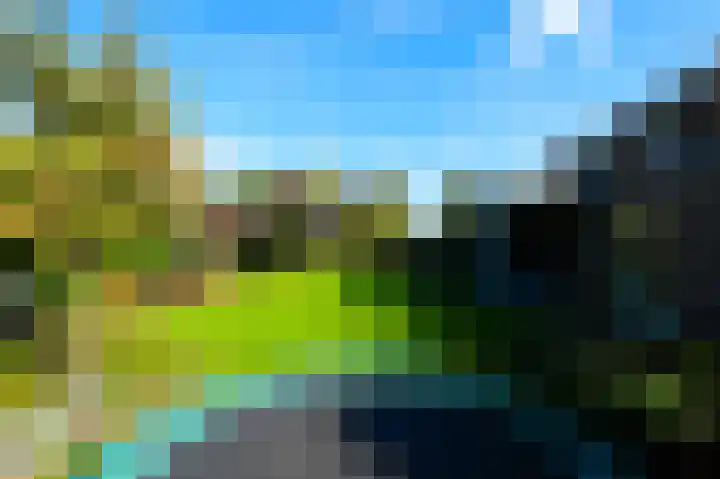 Vlaamse Gaai 2 Mierlo thumbnail 51